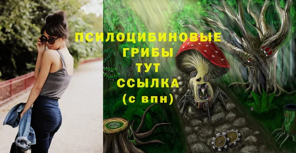 соль ск Алзамай