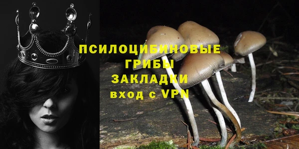 твердый Алексеевка