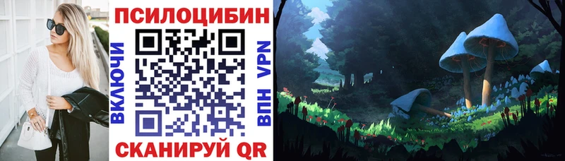 купить  цена  Юхнов  Галлюциногенные грибы GOLDEN TEACHER 